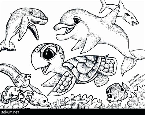 Cute Sea Animals Coloring Pages Animals World