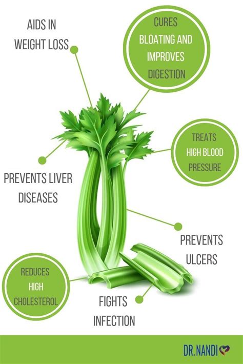 10 Health Benefits Of Celery Celery Benefits Health Celery Benefits