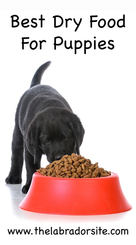 Recommended dog food by breeds. Best Dry Puppy Food - The Top Choices For Large And Small ...