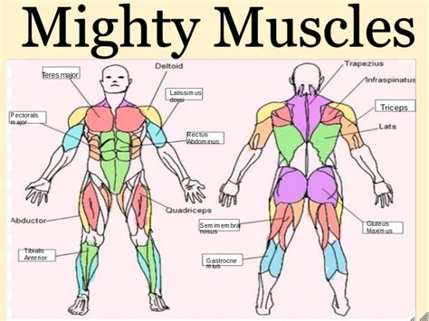 Nyree Mighty Muscles