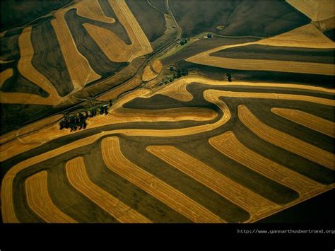 For the first rio conference in 1992, yann decided to prepare a big work for the year. Photos by Yann Arthus Bertrand - XarJ Blog and Podcast