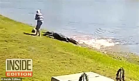 A New Video Shows The Terrifying Moment An Alligator Pounces On A Woman