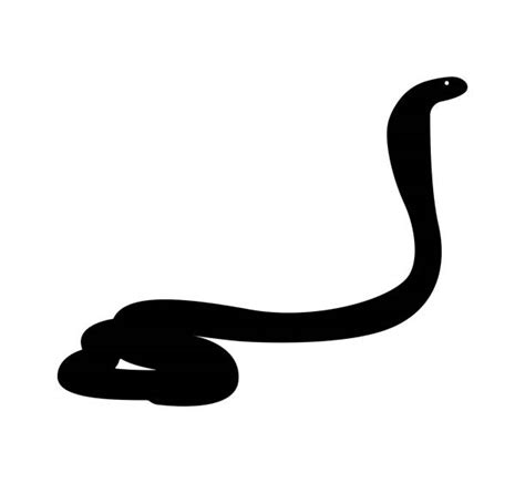 10 King Cobra Snake Silhouette Illustrations Royalty Free Vector
