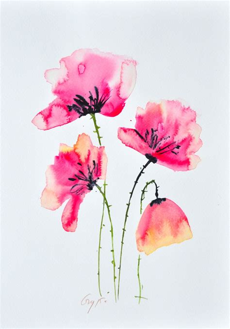 Pink Poppy Flowers Watercolor Painting On White Paper Original And