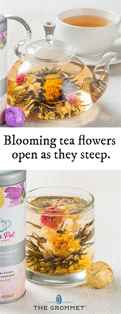 Blooming Tea Flowers Set Of Two — Flower Pot Tea Company The