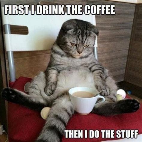 99 Funny Coffee Memes To Start Your Morning With A Roast Yourtango