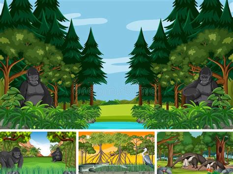 Four Scenes With Wild Animals In The Forest Stock Vector Illustration