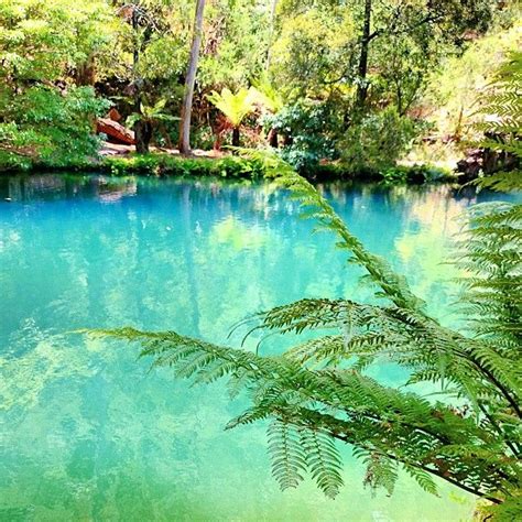 Log In — Instagram Jenolan Caves Katoomba Blue Mountain