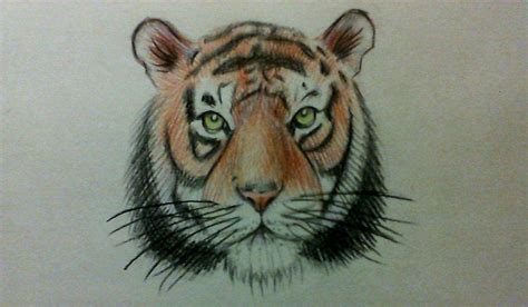 How To Draw A Simple Tiger Face Easy Watercolor Pencils Youtube