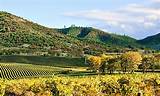 Photos of Vacation Packages Napa Valley California
