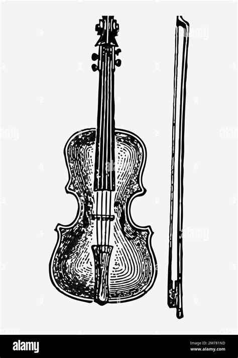 Vintage European Style Violin Engraving Vector Stock Vector Image And Art