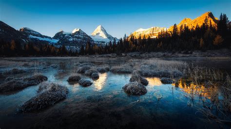 All that he needs for life is a helm and an airplane. Assiniboine Provincial Park British Columbia Canada ...