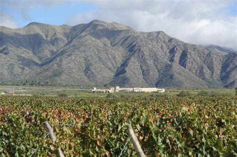 A Wine Lovers Guide To Cafayate Heart Of Argentinas