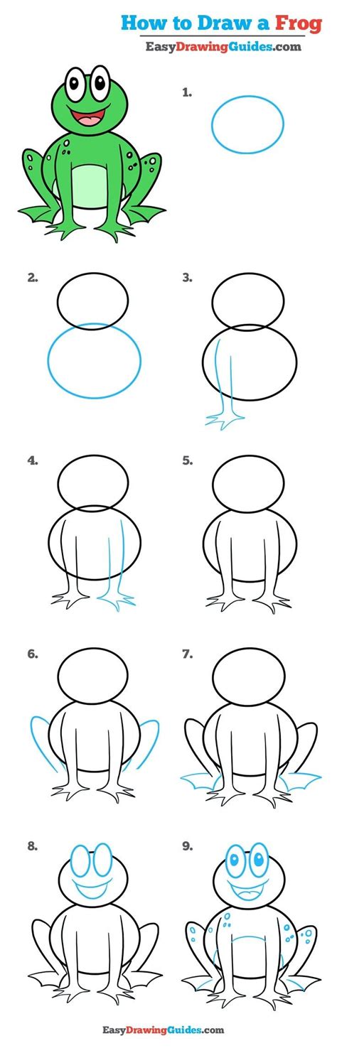 How To Draw A Frog In A Few Easy Steps Easy Drawing Guides