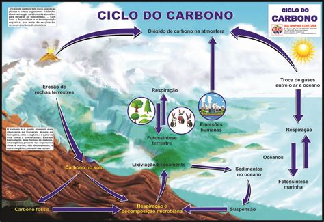 Ciclo Do Carbono • Bia Mapas