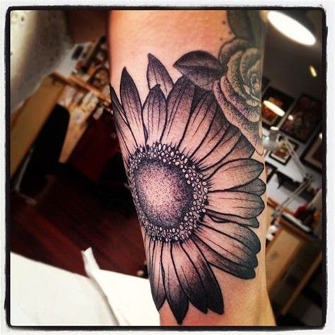 Black And Gray Gerbera Daisy Tattoo Not This Big Or This Location But