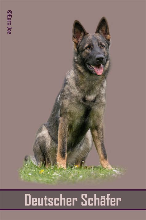 Our products are the largest size blankets on the market. Fleece blanket German Shepherd