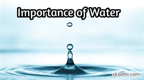 Water Importance Of Water Why Water Is Essential