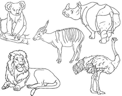 African Safari Animals Coloring Pages At Free
