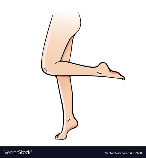 Female Leg Icon Slim Girl Attractive Body Vector Image