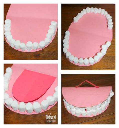 Mouth And Tooth Arts And Crafts For Kids The Natural Homeschool