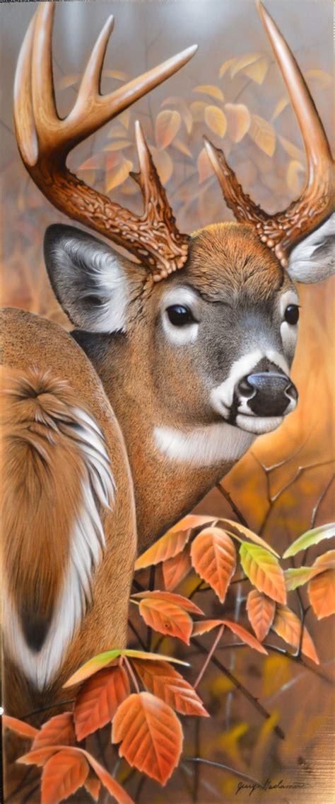 Jerry Gadamus Animal Paintings Deer Painting Deer Drawing