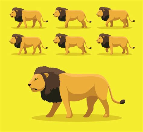 100 Male Lion Walking Stock Illustrations Royalty Free Vector
