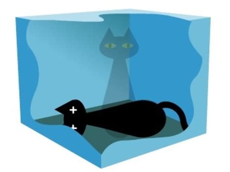 bizarre schrodinger s cat comes alive in new experiments nbc news