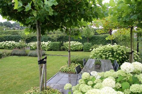 Mooie boompjes voor de voortuin Tuin Bomen en Hagen Tuin ideeën Tuin en Witte tuinen
