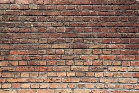 We did not find results for: Photo Wallpaper Brown Brick Wall