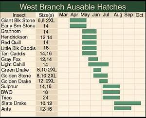 Ruff Waters Fly Fishing West Branch Of The Ausable River Hatch Chart