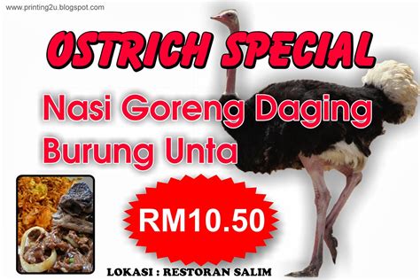 Kuala Nerang Ostrich Special Nasi Goreng Daging Burung Unta