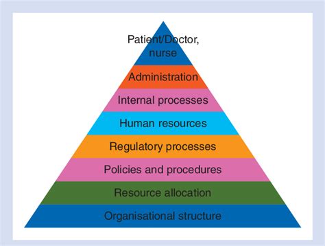 The Pyramid Showing The Organizational Structure With The Patient And