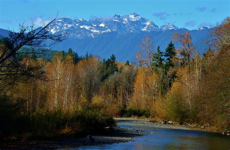 Maybe you would like to learn more about one of these? Hood Canal Camping - 4 Campgrounds for Families + 4 Hidden ...