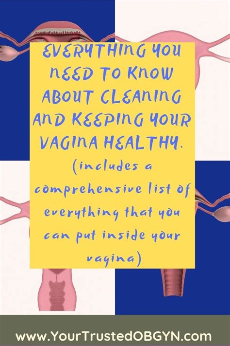 Everything You Need To Know About Cleaning And Keeping Your Vagina Healthy Includes A