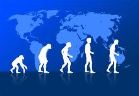 Origen Y Evolucion De La Administracion Timeline Timetoast Timelines