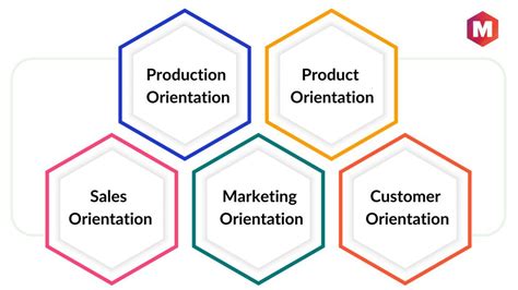 What Is Business Orientation 5 Types And Examples Marketing91