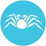 Crab Arctic Water Crabs Seafood Cold Icon