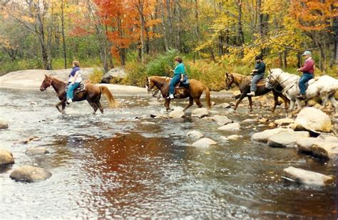 Horseback Riding In The Smokys Of Tennessee Horseback Riding