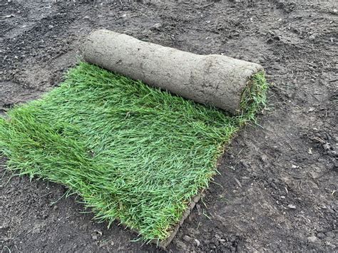 Where To Buy Sod Rolls In Vancouver Richmond Surrey And Delta Bc