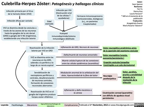 Culebrilla Herpes Zóster Patogénesis Y Hallazgos Clínicos Calgary Guide