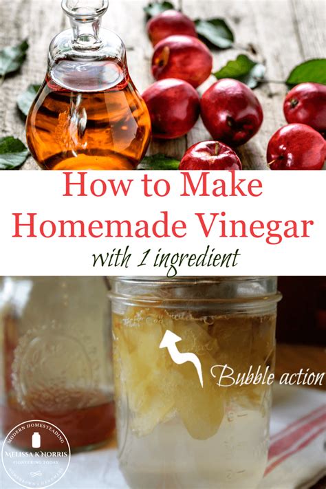 How To Make Fruit Vinegar At Home With 1 Ingredient Melissa K Norris