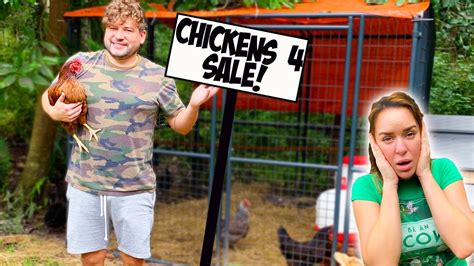 SELLING MY WIFE S CHICKENS SHE HAS NO IDEA YouTube