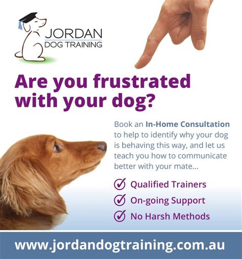 In Home Dog Behaviour Training Jordan Dog Training