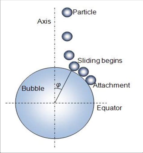 Schematic Of The Progress Of A Particle Interacting With And Attaching