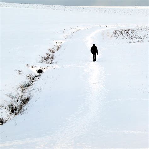 Fotos Gratis Hombre Naturaleza Para Caminar Persona Frío Blanco