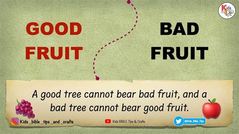 Good Fruit Bad Fruit 🍎 ️ 🍇 Good Fruit And Bad Fruit From Bible