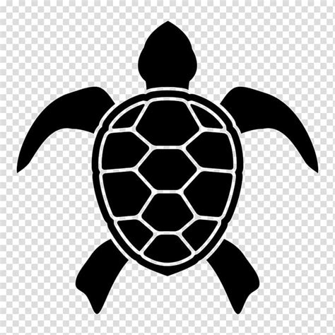 Black turtle illustration, Turtle shell Raphael Teenage Mutant Ninja