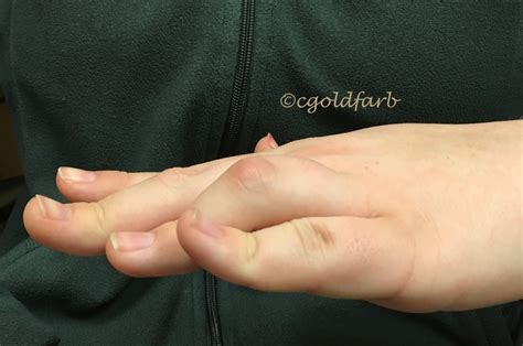 Word That Describes A Fingers Capability To Bend