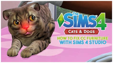 🐶fixing Cc Furniture Mods For The Sims 4 Cats And Dogs Xmiramiras Cc